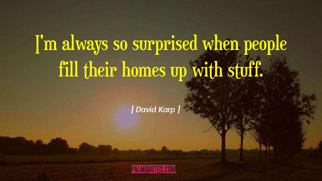 David Karp Quotes: I'm always so surprised when