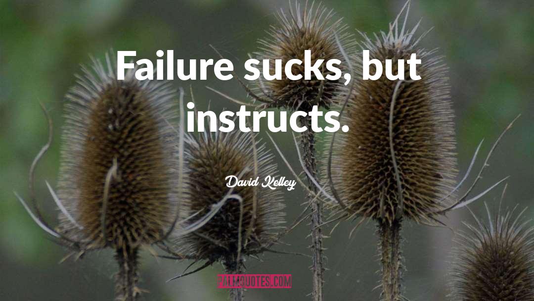 David Kelley Quotes: Failure sucks, but instructs.