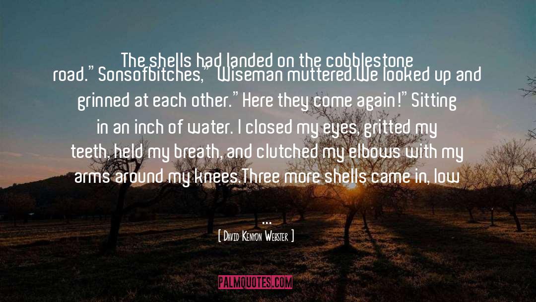 David Kenyon Webster Quotes: The shells had landed on