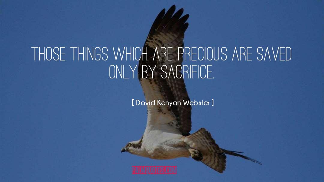 David Kenyon Webster Quotes: Those things which are precious