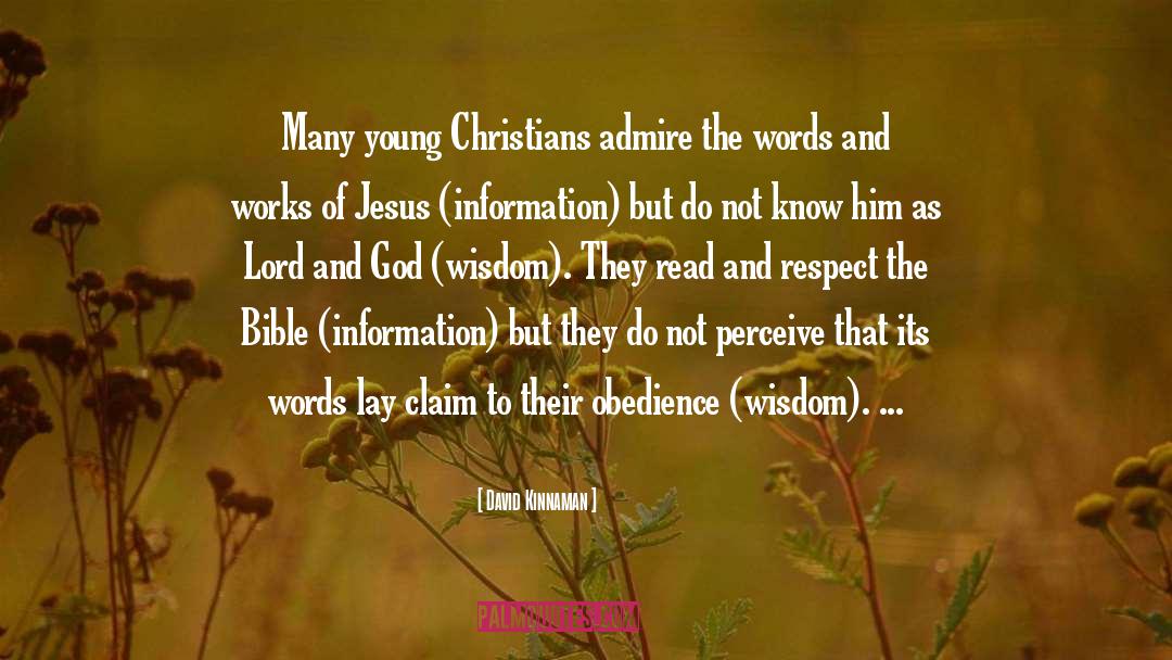 David Kinnaman Quotes: Many young Christians admire the