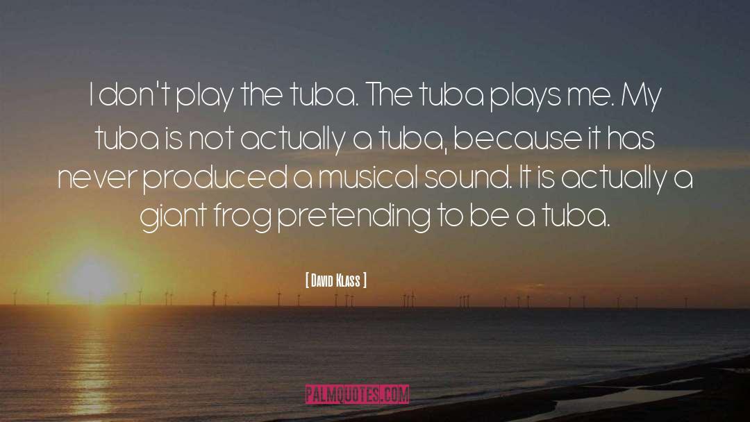 David Klass Quotes: I don't play the tuba.