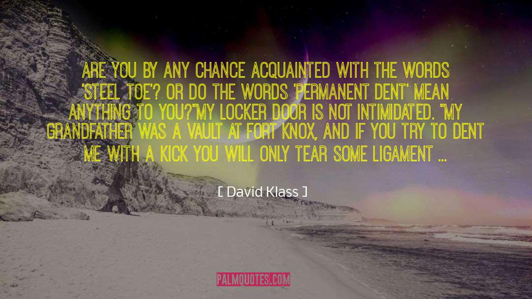 David Klass Quotes: Are you by any chance