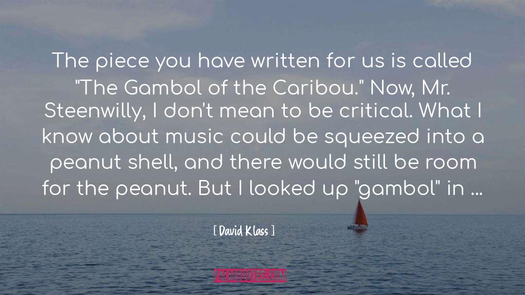 David Klass Quotes: The piece you have written