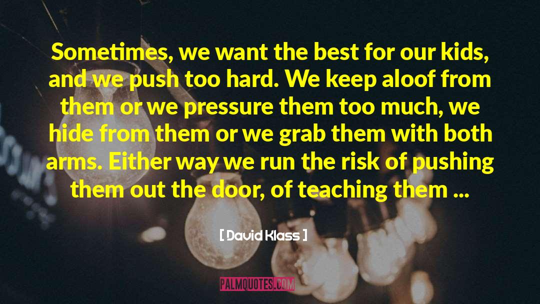 David Klass Quotes: Sometimes, we want the best