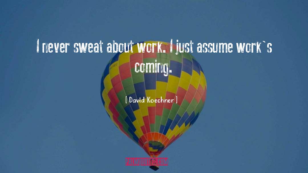 David Koechner Quotes: I never sweat about work.