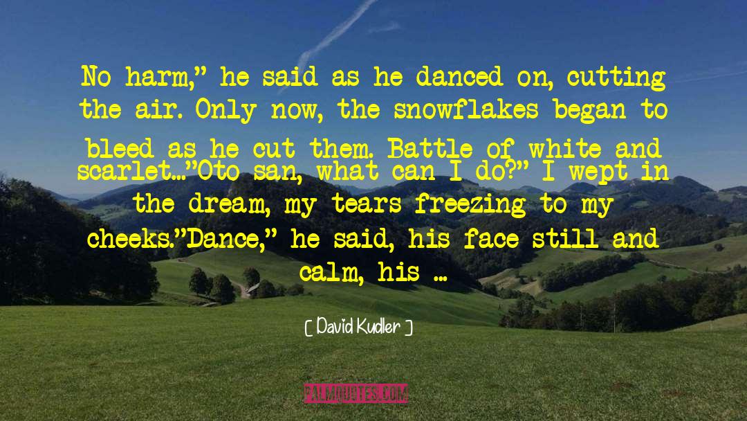 David Kudler Quotes: No harm,