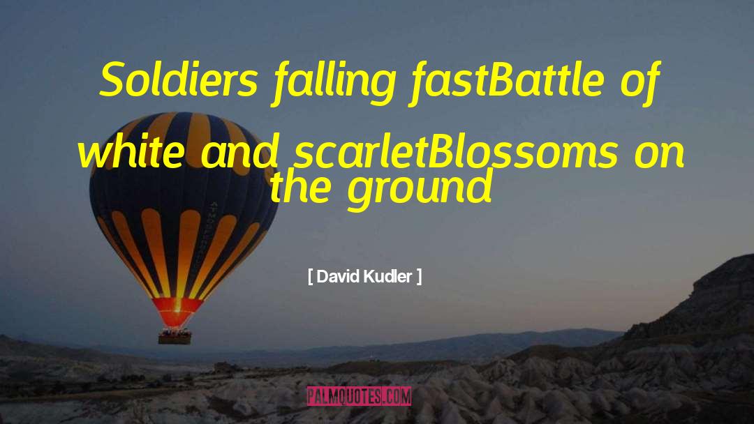 David Kudler Quotes: Soldiers falling fast<br />Battle of