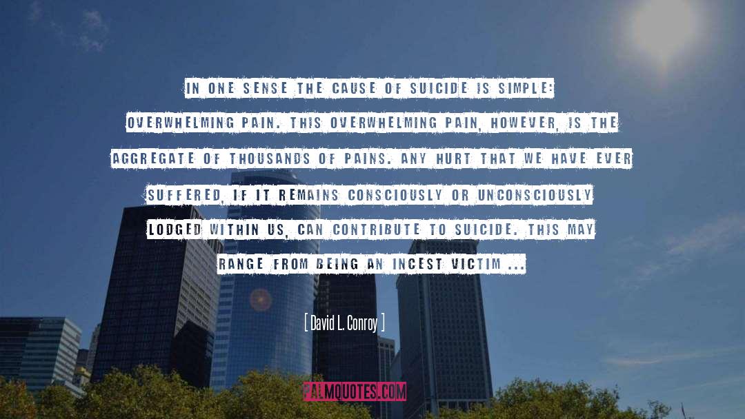 David L. Conroy Quotes: In one sense the cause