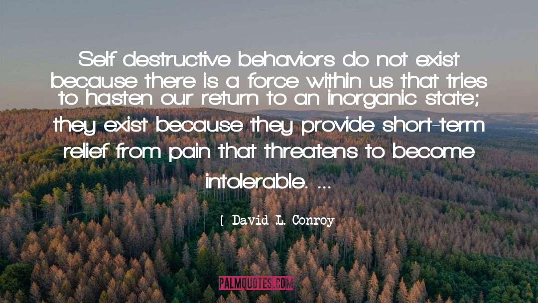 David L. Conroy Quotes: Self-destructive behaviors do not exist