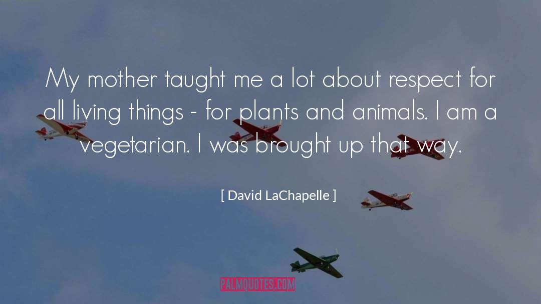 David LaChapelle Quotes: My mother taught me a