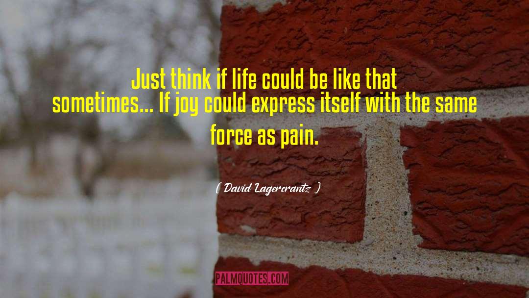 David Lagercrantz Quotes: Just think if life could