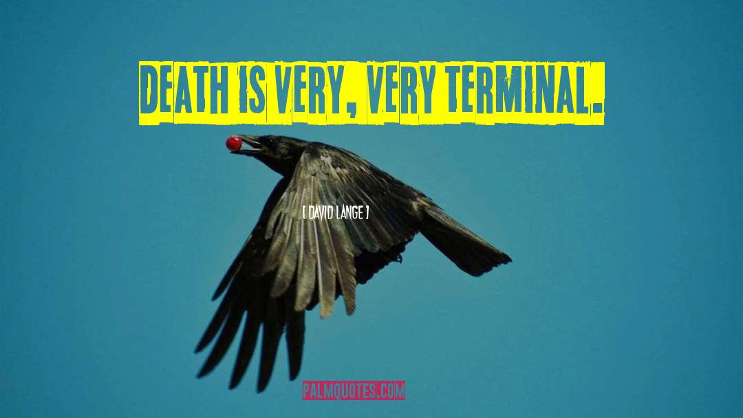 David Lange Quotes: Death is very, very terminal.