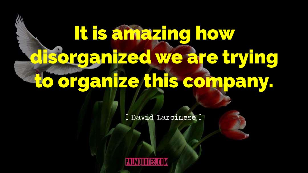 David Larcinese Quotes: It is amazing how disorganized