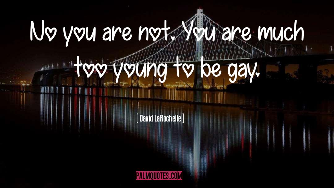 David LaRochelle Quotes: No you are not. You