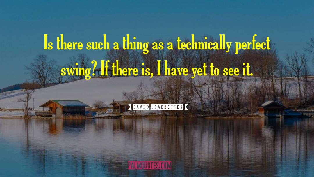David Leadbetter Quotes: Is there such a thing