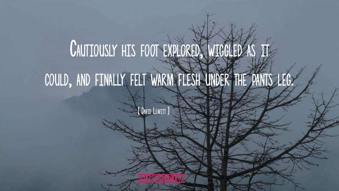 David Leavitt Quotes: Cautiously his foot explored, wiggled