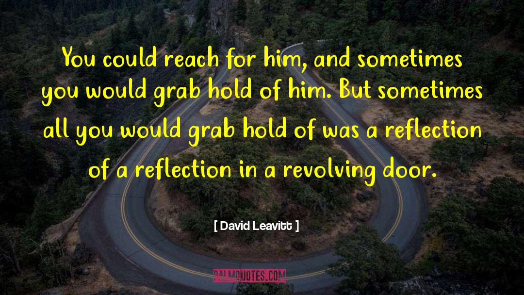 David Leavitt Quotes: You could reach for him,