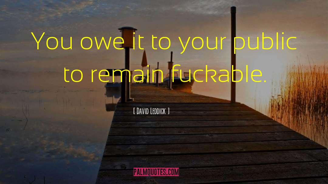 David Leddick Quotes: You owe it to your