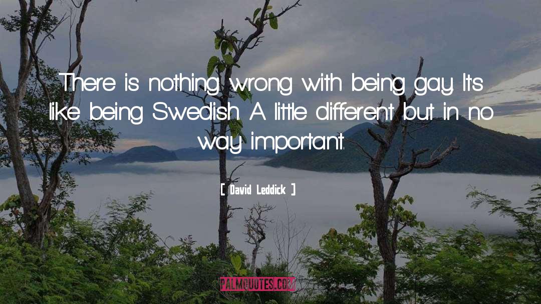 David Leddick Quotes: There is nothing wrong with
