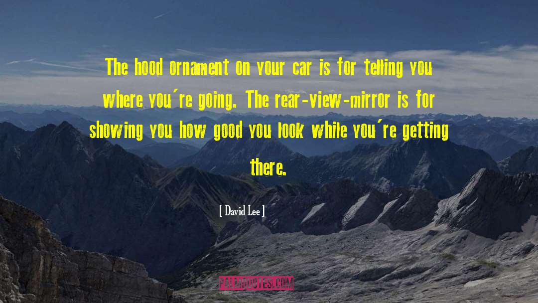 David Lee Quotes: The hood ornament on your