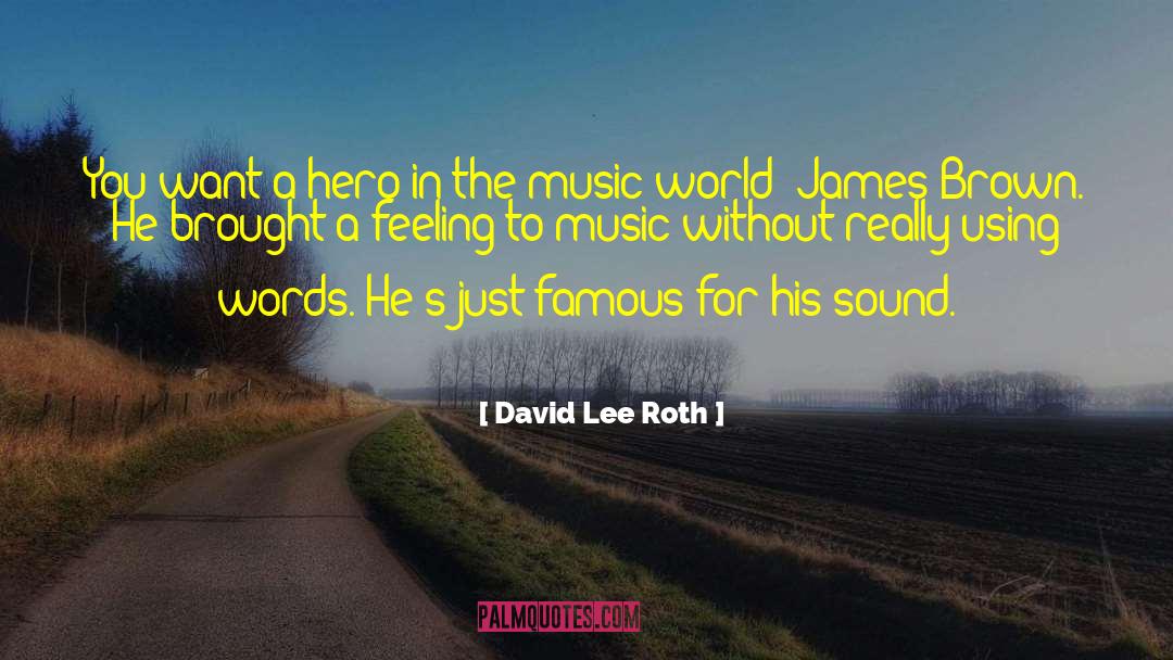 David Lee Roth Quotes: You want a hero in