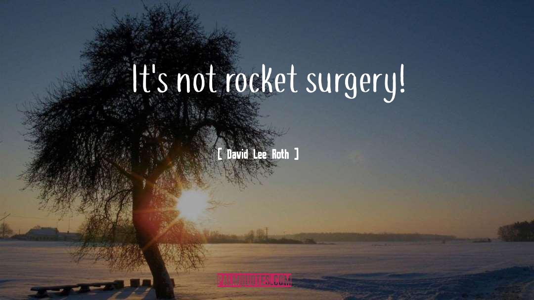 David Lee Roth Quotes: It's not rocket surgery!