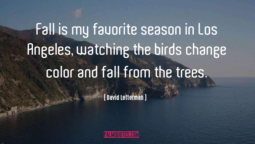 David Letterman Quotes: Fall is my favorite season