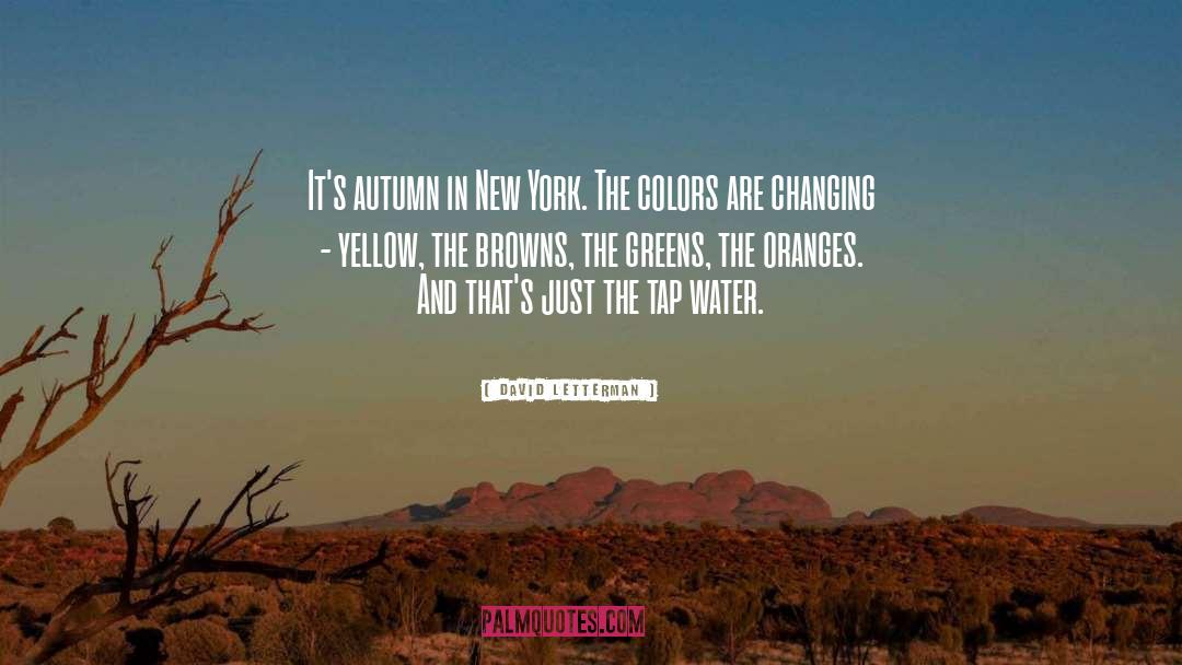 David Letterman Quotes: It's autumn in New York.