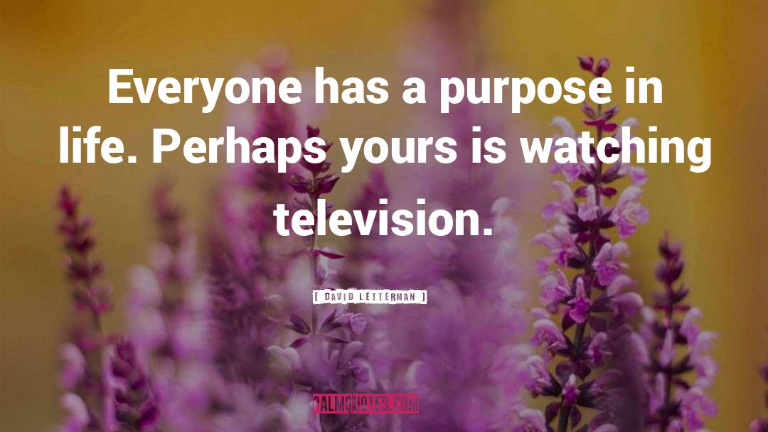 David Letterman Quotes: Everyone has a purpose in