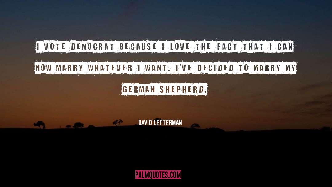 David Letterman Quotes: I vote Democrat because I
