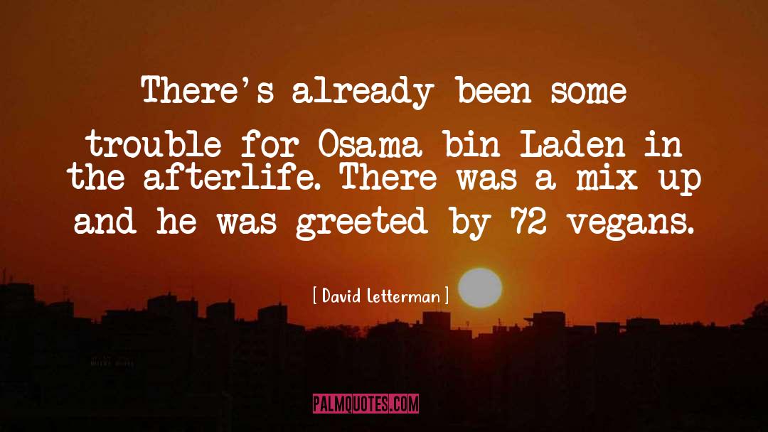 David Letterman Quotes: There's already been some trouble