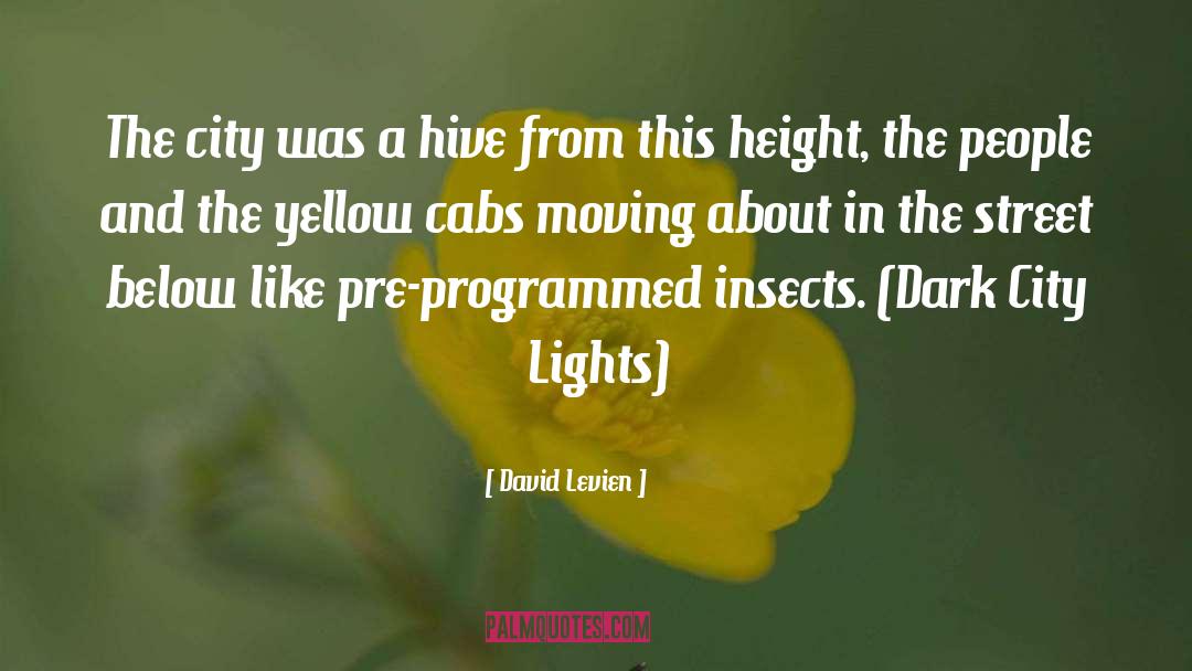 David Levien Quotes: The city was a hive