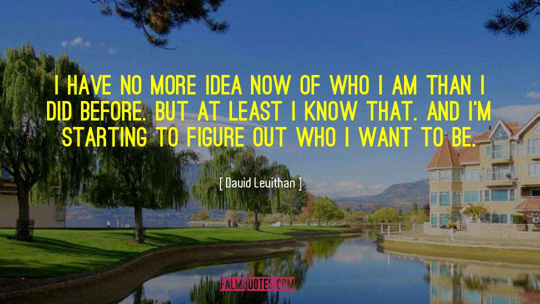 David Levithan Quotes: I have no more idea