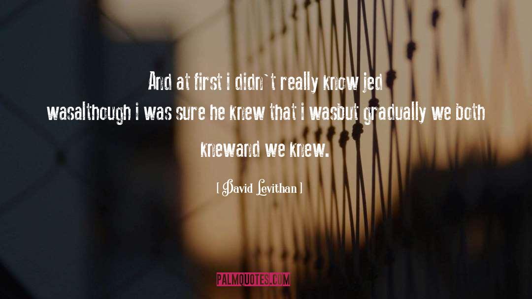 David Levithan Quotes: And at first i didn't