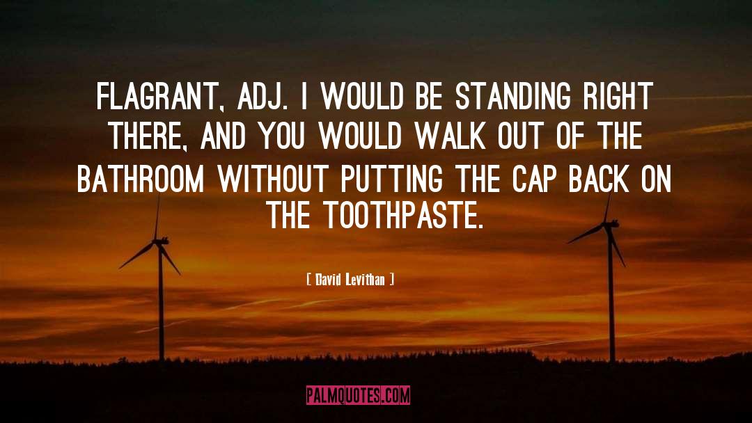 David Levithan Quotes: Flagrant, adj. I would be