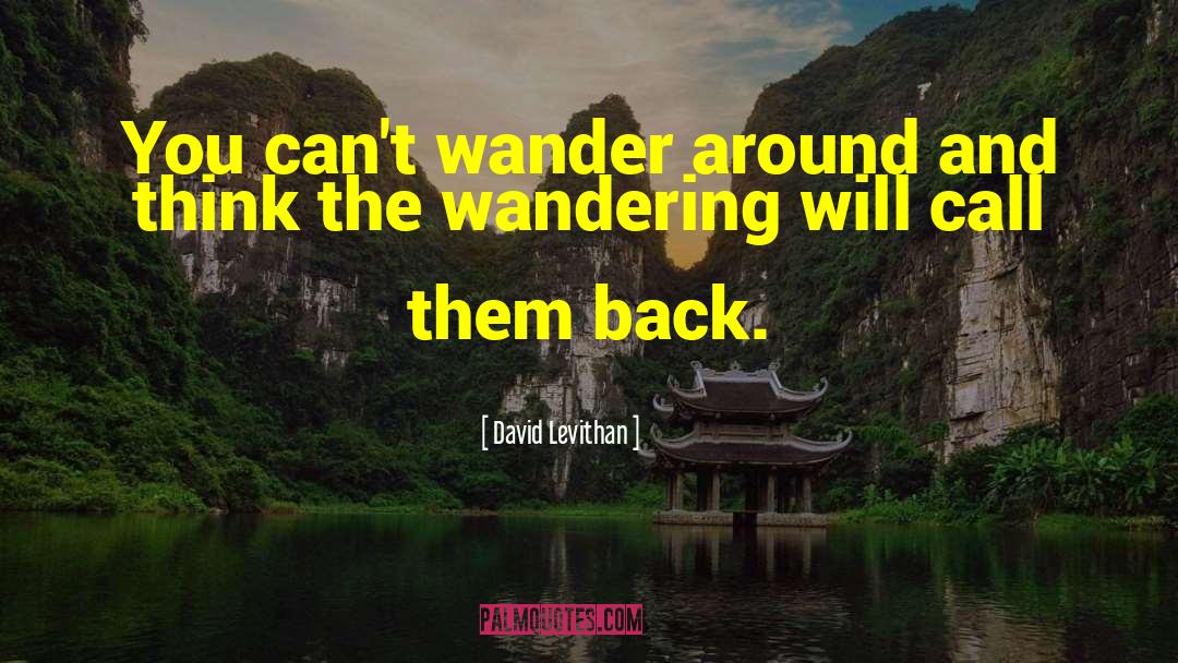 David Levithan Quotes: You can't wander around and