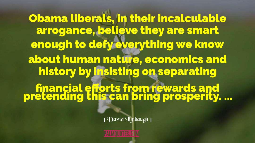 David Limbaugh Quotes: Obama liberals, in their incalculable