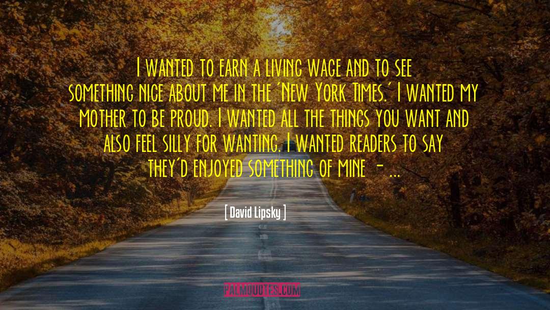 David Lipsky Quotes: I wanted to earn a