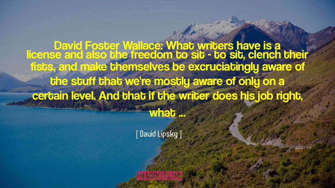 David Lipsky Quotes: David Foster Wallace: What writers