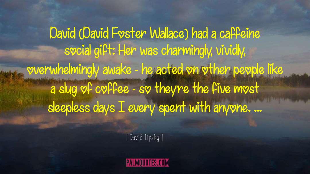 David Lipsky Quotes: David (David Foster Wallace) had