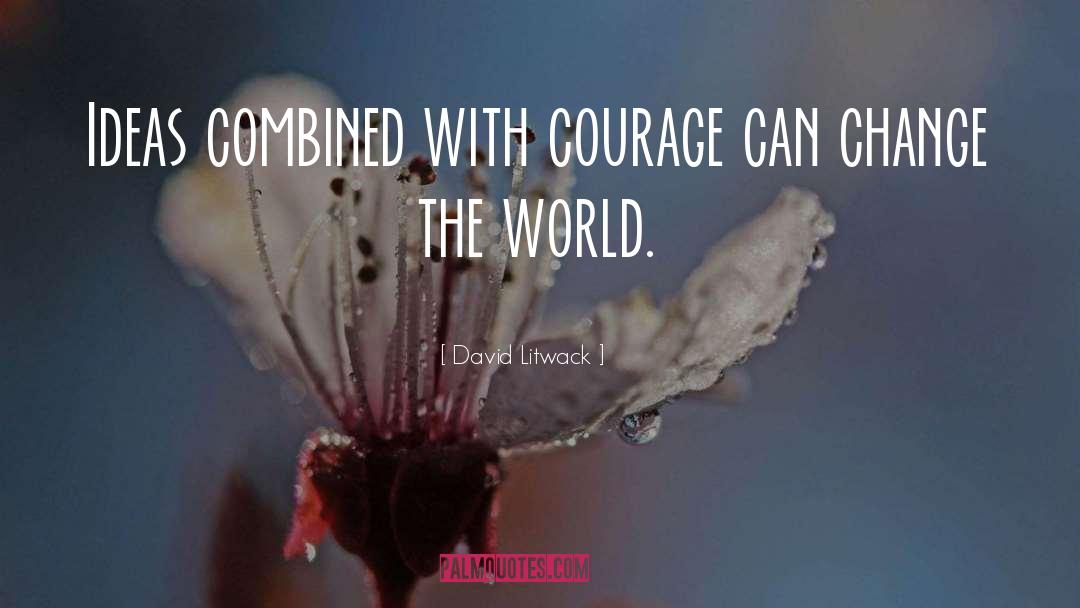 David Litwack Quotes: Ideas combined with courage can