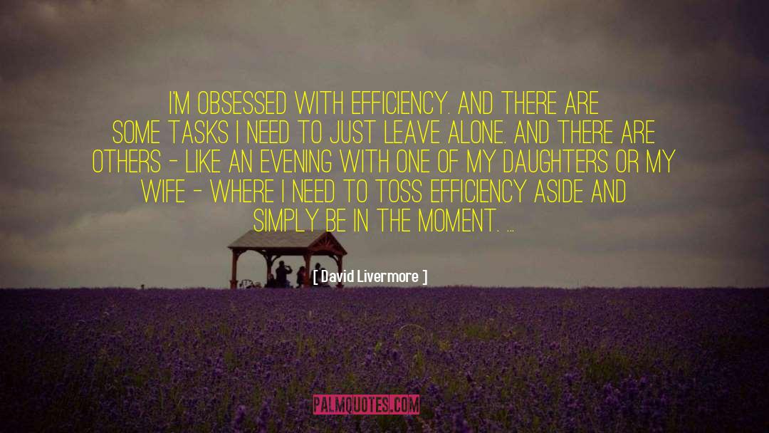 David Livermore Quotes: I'm obsessed with efficiency. And
