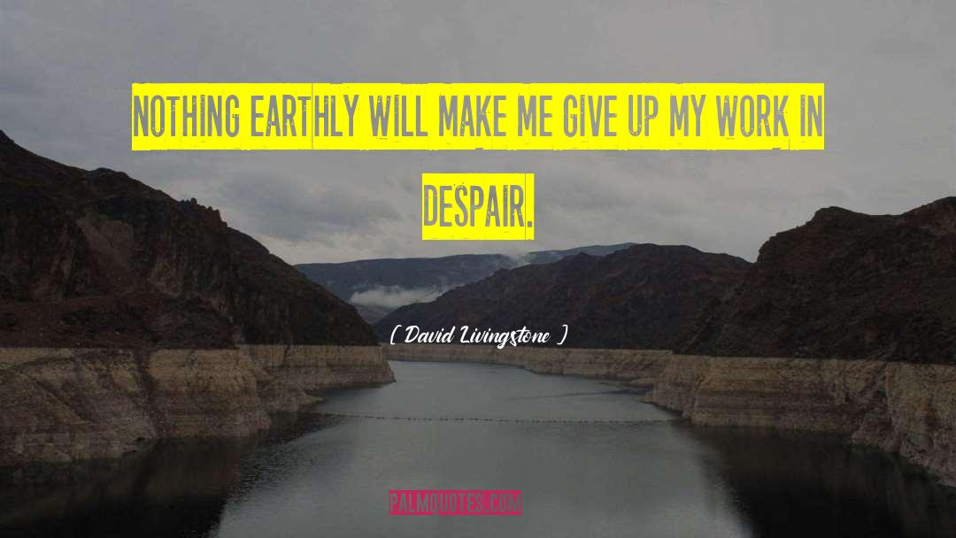 David Livingstone Quotes: Nothing earthly will make me