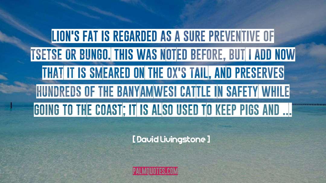 David Livingstone Quotes: Lion's fat is regarded as