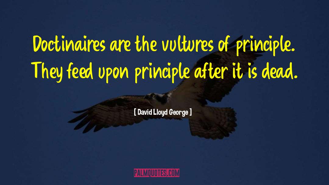 David Lloyd George Quotes: Doctinaires are the vultures of