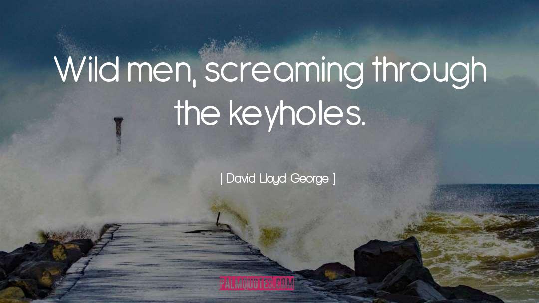 David Lloyd George Quotes: Wild men, screaming through the