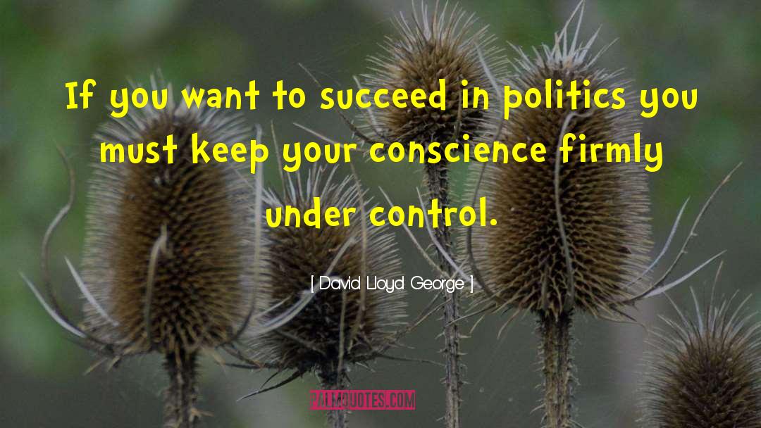 David Lloyd George Quotes: If you want to succeed