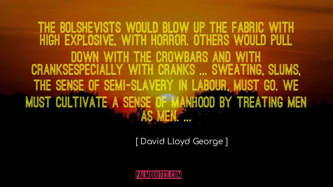 David Lloyd George Quotes: The Bolshevists would blow up