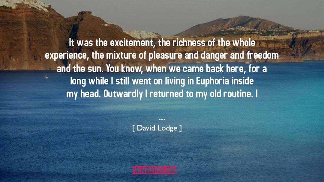 David Lodge Quotes: It was the excitement, the